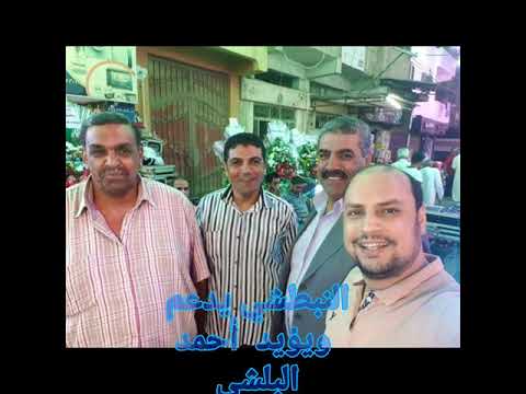 احمد عبد الشافي البلشى مرشح مجلس الشيوخ عن محافظة دمياط رمز القلم