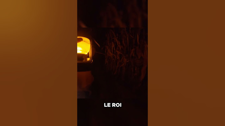 Le roi du silence... 💨
