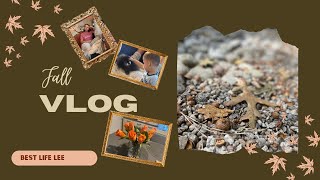 Fall Vlog - Hurricane Lee and Overnight Guest
#fallvlog#fall#letgo
Hi Everyone! In this video Ill take you along an end of summer walk through my neighborhood. Some flowers are still in bloom while others are in their fall colors. Well hang out on the balcony and watch Hurricane Lees winds, or lack there of (lol!) And, Ill share some of the wonderful moments from my grandsons sleepover. We had so much fun, but grandma was wiped out by the time he went home 😴
I hope you all let go and enjoy the moments of your life. Soak up all the giggles, hugs, and kisses, no matter what kind of messes come with them!
Its been a very busy week for me, so theres no blog post today, but Im working on next weeks, so check back then! In the meantime, if you havent seen the blog, check it out here https://www.bestlifelee.com/
Have a great week!
You guys are the BEST!
Lisa
Write to me at angelbridgelisa@hotmail.com Fall Vlog - Hurricane Lee and Overnight Guest