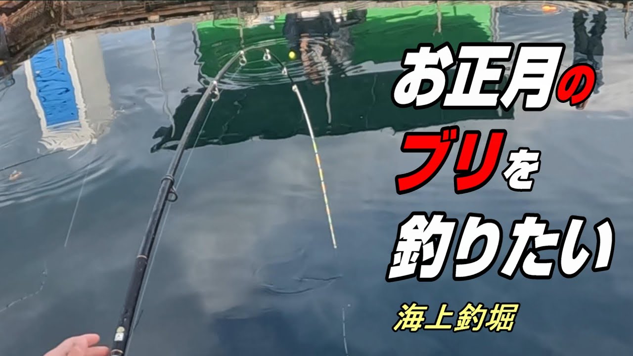 ブリを求めて2024年大晦日に釣行してきました！海上釣堀辨屋さん貸切です