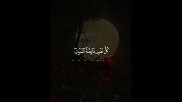 تلاوه خاشعة تقشعر منها الابدان بصوت عبدالرحمن مسعد #quran #قران #اكسبلور #قران_كريم #عبدالرحمن_مسعد