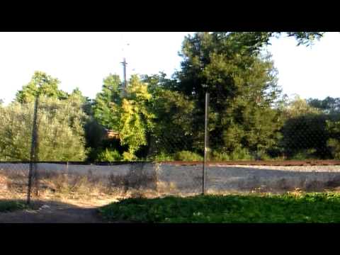 sany0025_001.mp4