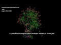 Antibody Discovery - Sequence Analysis and 3D Modeling