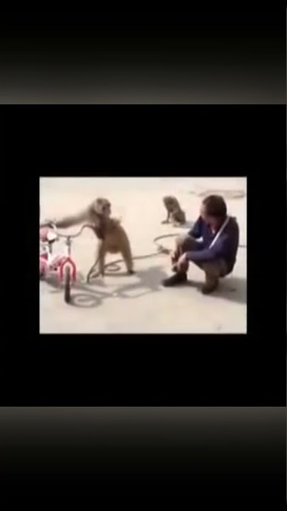 MONKEY TALKING BAD VOICE IN TAMIL 😂 #shorts #funnyvideos #monkeybadvoice