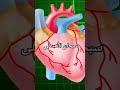 هل تعلم أن قلبك ينبض 100 ألف مرة يوميا معلومة مذهلة معلومة بصمتي قلب صحة سبحان الله بصمتي هل تعلم أن قلبك ينبض 100 ألف مرة يوميا معلومة مذهلة معلومة بصمتي قلب صحة سبحان الله بصمتي