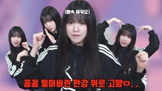 꽁꽁 얼어버린 한강 위로 고양ㅇ. . 배속 해줘요