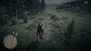 Dont Mess with my Horse and Me
