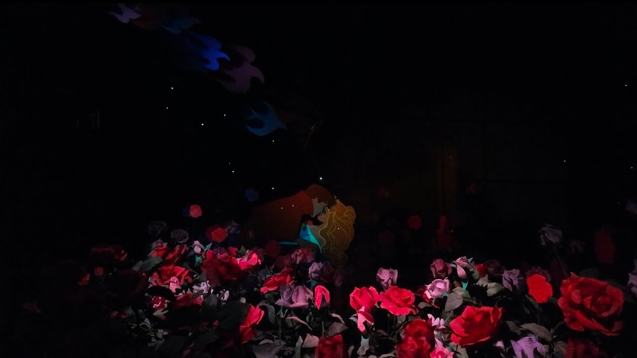 Disneyland: Sleeping Beauty Castle Walktrough