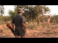 The Scariest Elephant Moments Ever Recorded on Safari