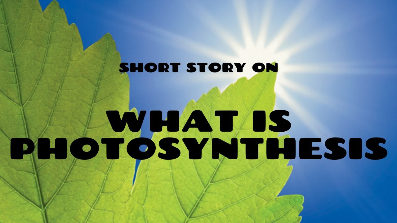 write a short story about photosynthesis