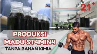 Produksi Madu Herbal | ST4MIN4 PRI4 | STRONG !!