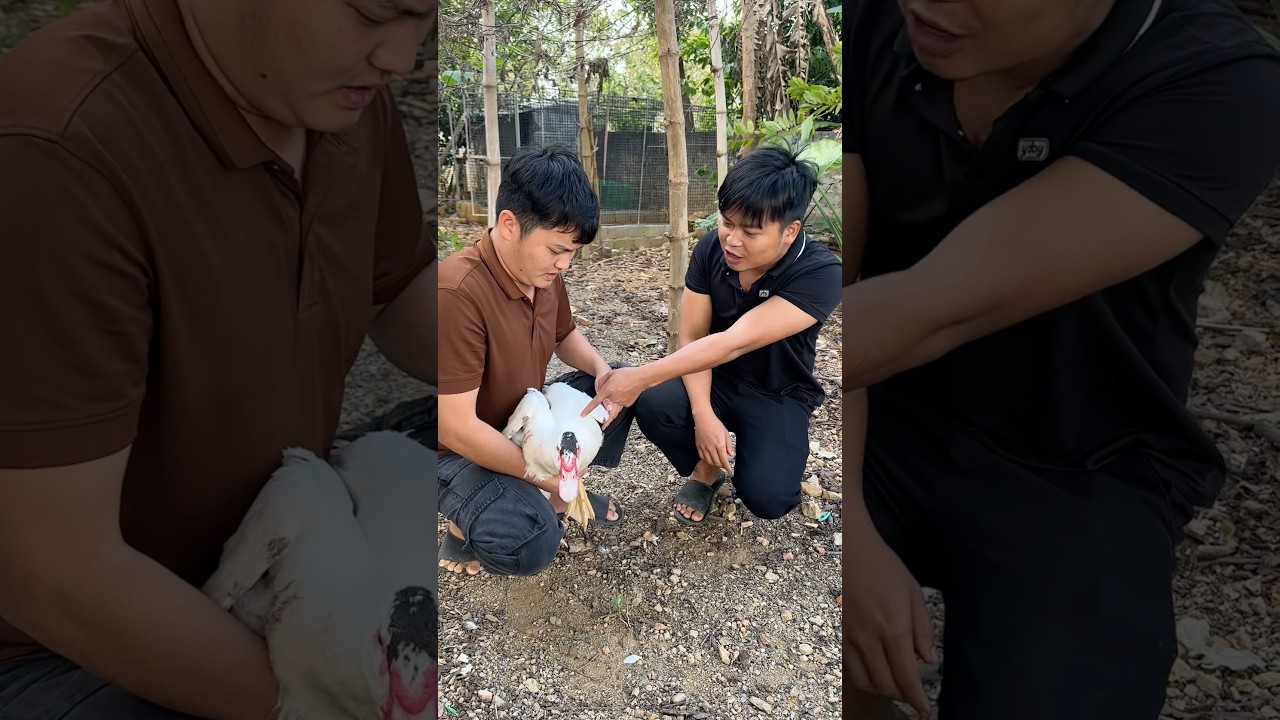 Theo Mọi Người Đây Là Con Gì 