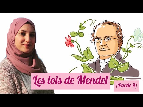 Unité 2:chapitre 4/