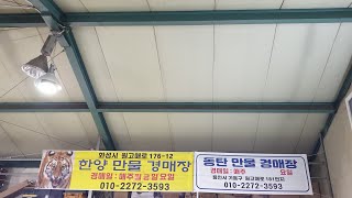 10월13일오후8시에#동탄만물 및#한양만물 경매장 라이브 방송시작합니다