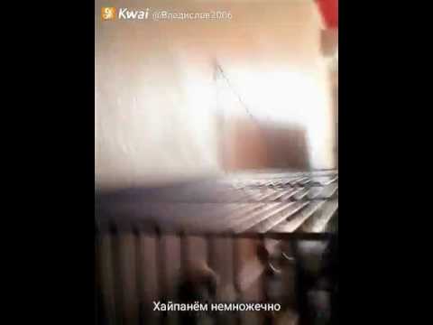 Гешка стал Сергеем Дружко VLOG попугая Геши ч 04