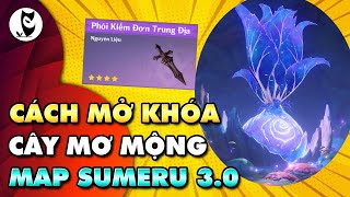 Cách Mở Vị Trí "Cây Mơ Mộng" Map Sumeru 3.0 screenshot 4