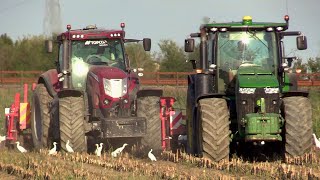 John Deere 8260 R & McCormick X8.680 + Maschio Artiglio subsoiler | Cab view & engine sound