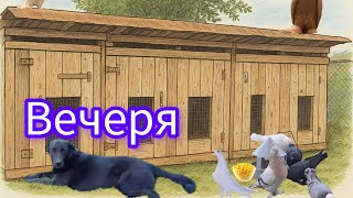 картинка: 