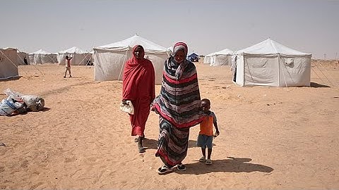 Sudan: Amnesty accuses RSF of war crimes in assault on refugee camp