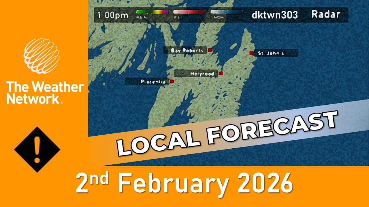 The Weather Network Local Forecast - 2 February 2026 - YouTube