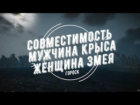 Совместимость мужчина Крыса и женщина Змея