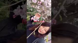 豊田えまtiktok