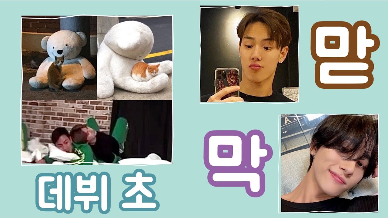 [몬스타엑스/아이엠/셔누] 데뷔 초 막맏 모먼트 | 맏이 막내 케미 | 맏셔누 막창균 | 롸잇나우 | 몬스타엑스레이 | 브이앱