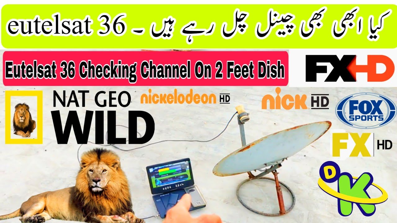 Eutelsat 36 Checking Channel On 2 Feet Dish 😲 , Netgeo Wild and top channel FTA eutelsat 36,ptv box 
