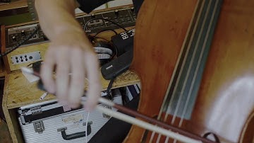 Maarten Vos - Study 2