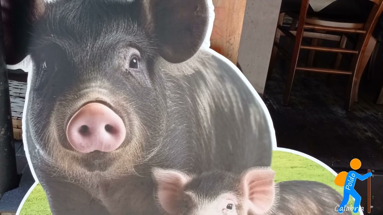 Camigliatello silano ( cs )