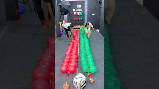 Bro VS Sis Pop balloon challenge 02 🤩