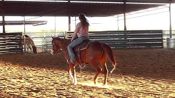 Meradas Big Swing - sorting practice - warming up 1 - Valley View Ranch