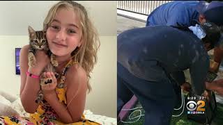 Roto-Rooter Plumbers Help Girl Rescue Kitten