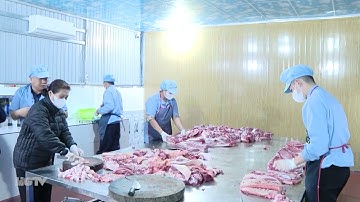 Từ trang trại đến bàn ăn – Bảo đảm vệ sinh, an toàn thực phẩm