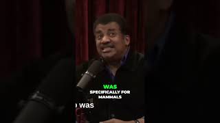 Debunking Brain Size Myths The Bigger Brain Fallacy Part 3