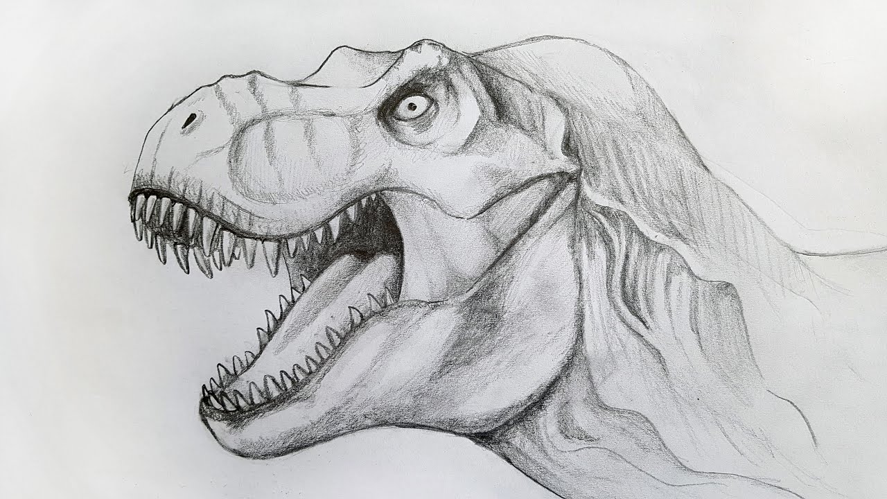 Roaring Dinosaur TRex Head  VectorGenius