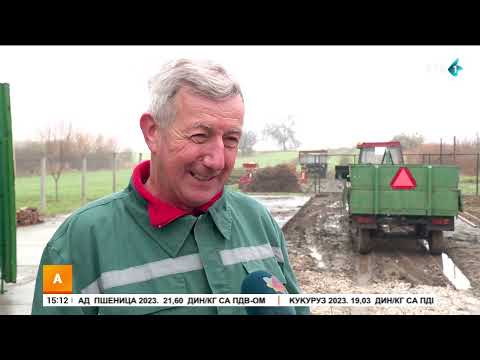 Video: Tarkvinije Ponosni: porijeklo i fotografija