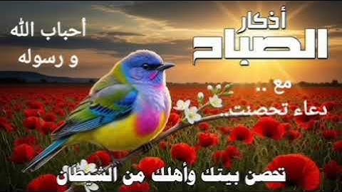 أذكار الصباح ☀️ بصوت يريح قلبك جدا 💚 حصن نفسك وبيتك من الشيطان