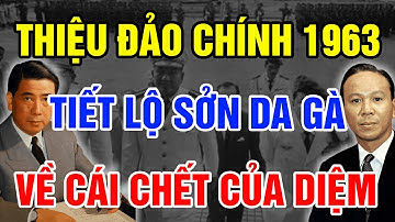 Sau 63 Năm HN Giải Mã Cuộc Đảo Chính 1963 Tiết Lộ Sự Thật Về Cái Chết Của Ngô Đình Diệm
