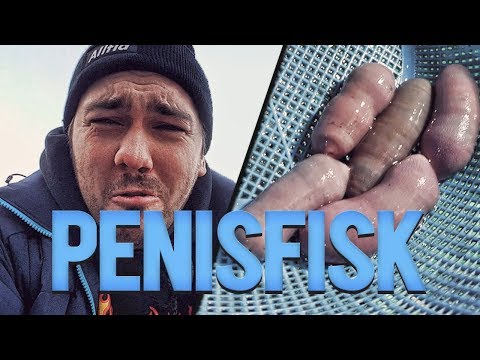 Jeg spiste penisfisk i Sør-Korea