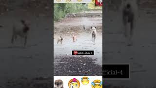 Httpsyoutubecomshortsfaj4utbtm4wfeatureshared