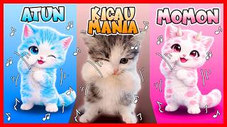 ATUN & MOMON BERUBAH MENJADI KUCING KICAU MANIA !! Feat @sapipurba Roblox