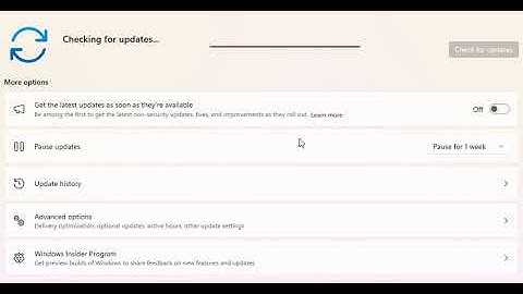 Windows update reinstalls the same windows defender update | Windows 11 Bug