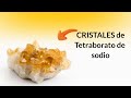 Como hacer CRISTALES de tetraborato de sodio | El Aventurero de la ciencia