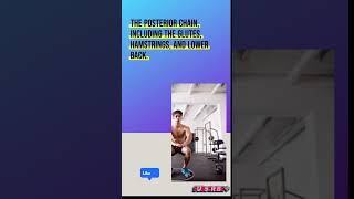 The BEST Butt Exercises For Men (the ONLY 4 You Need!)