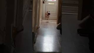 2017. Gada 22. Maijs