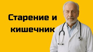 Как работа кишечника связана с долголетием?