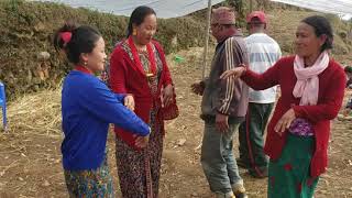 Nepali Village Funny Dance On Chhewor