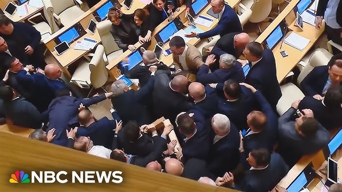 Georgia S Foreign Agent Law Sparks Brawls Inside And Outside Parliament