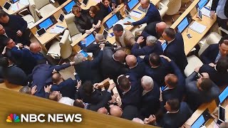 Georgia’s ‘Foreign Agent’ Law Sparks Brawls Inside And Outside Parliament